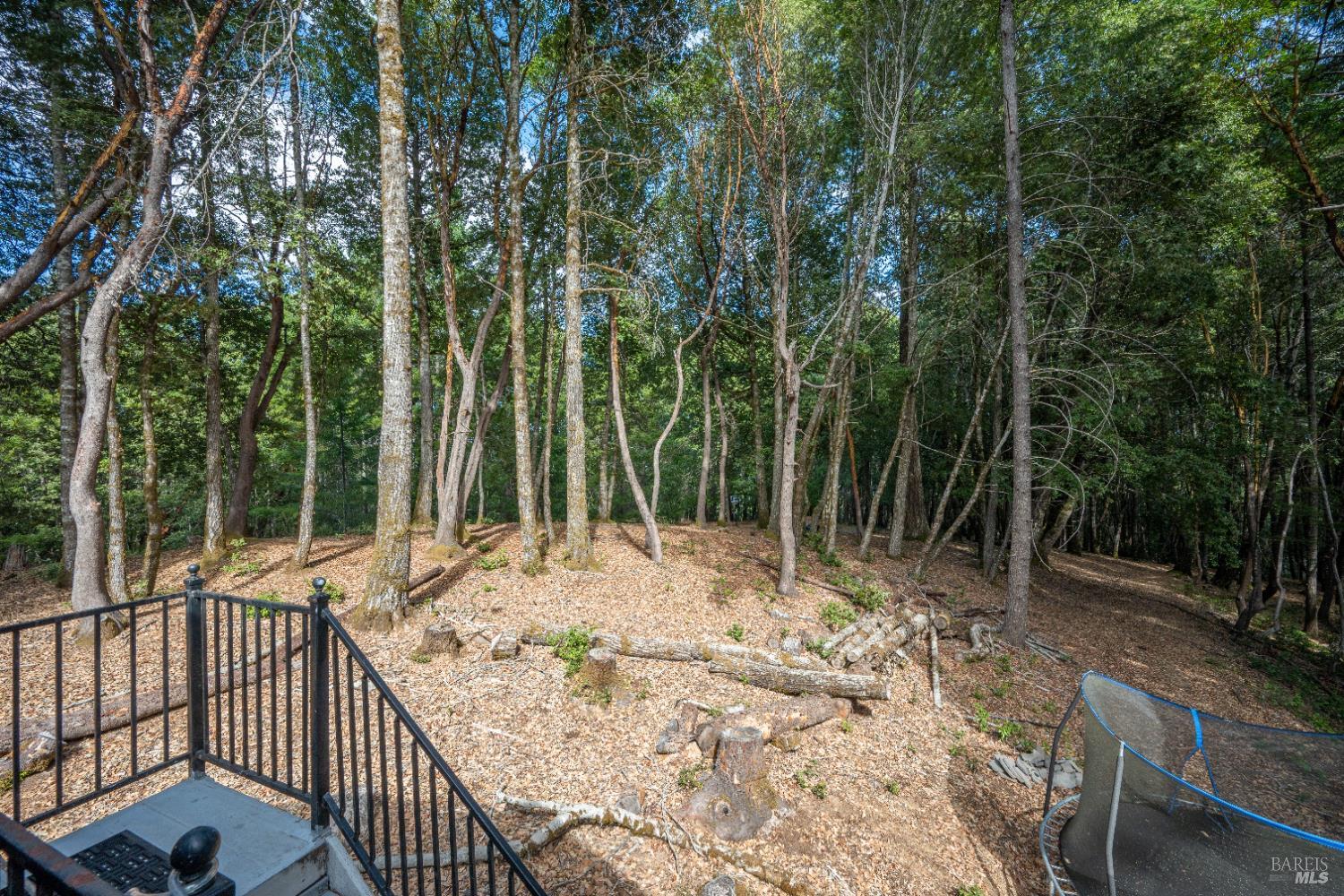 22945 Ridge Road Willits, CA 95490 - Photo 45 of 48 a view of a backyard with a large tree