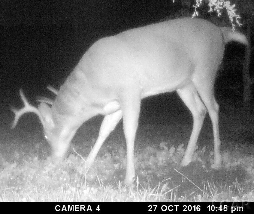 Vac East Blue Ridge Road Napoleon, MI 49261 - Photo 8 of 32