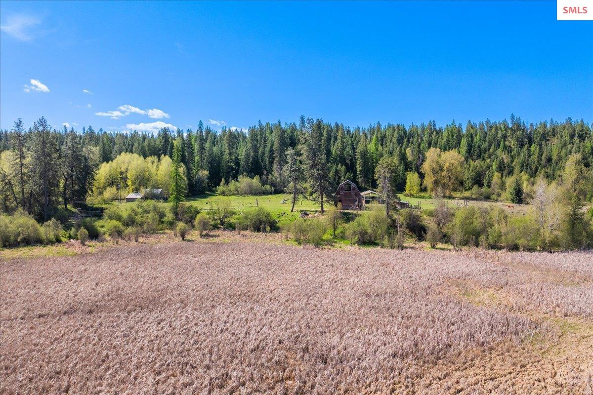 4610 Kelso Lake Road Athol, ID 83801 - Photo 69 of 71 Gallery Image 69