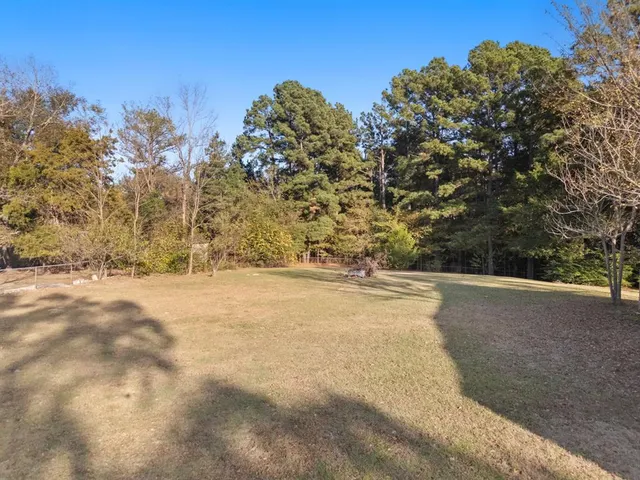 a view of a ground with a trees