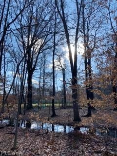 915 Sandy Lake Road Kent, OH 44240 - Photo 10 of 35 Just can't get enought of this view.