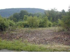 0 Pond Road North Ferrisburgh, VT 05469 - Photo 1 of 1 Gallery Image 1
