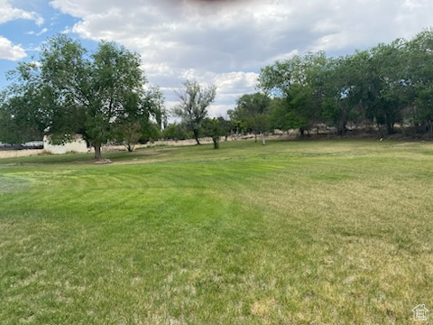 190 600 North Ferron, UT 84523 - Photo 80 of 85 View of green lawn