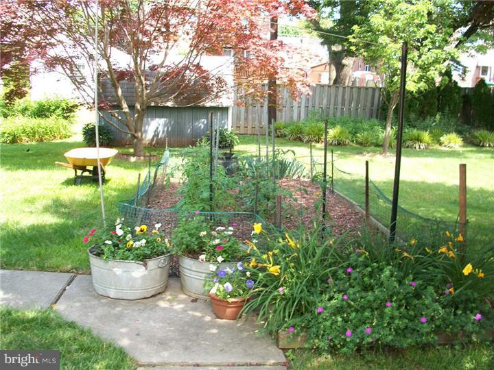 42 Braeburn Road Havertown, PA 19083 - Photo 5 of 19 Back Yard