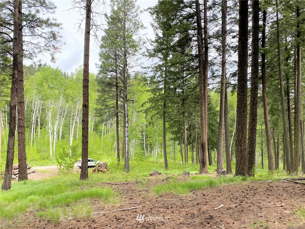 6 Fiddler's Road Winthrop, WA 98862 - Photo 11 of 15 Gallery Image 11