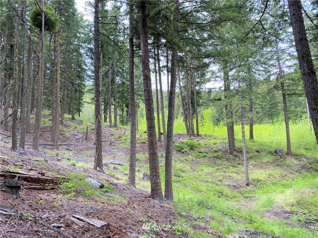 6 Fiddler's Road Winthrop, WA 98862 - Photo 12 of 15 Gallery Image 12