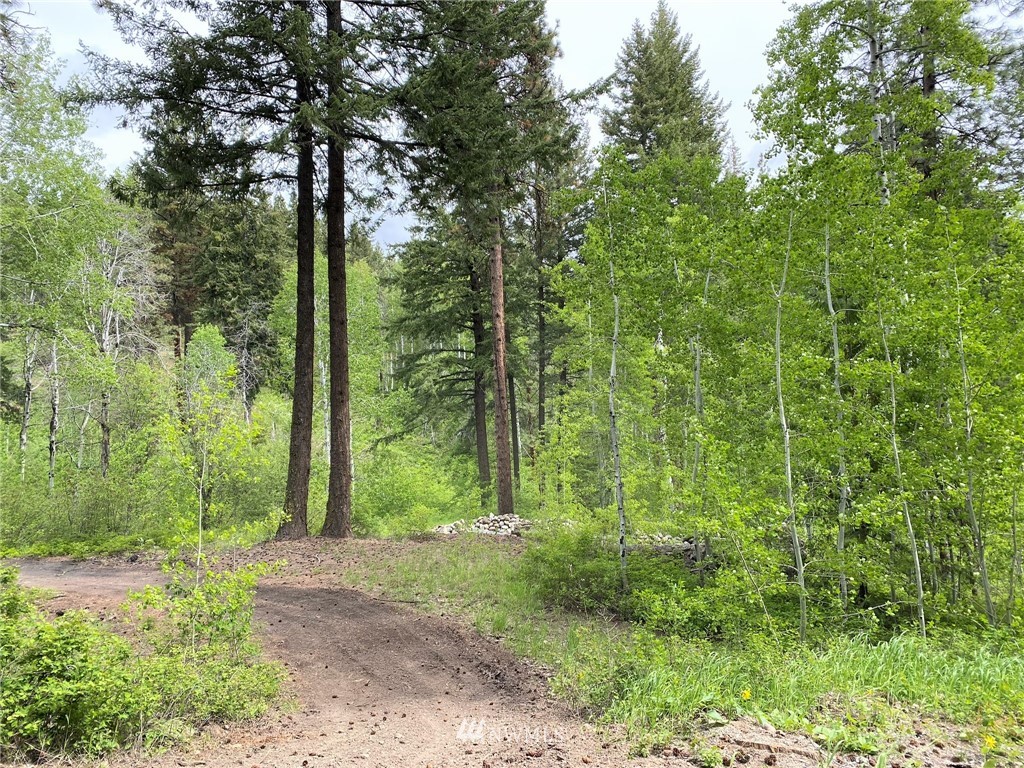 6 Fiddler's Road Winthrop, WA 98862 - Photo 14 of 15 Gallery Image 14