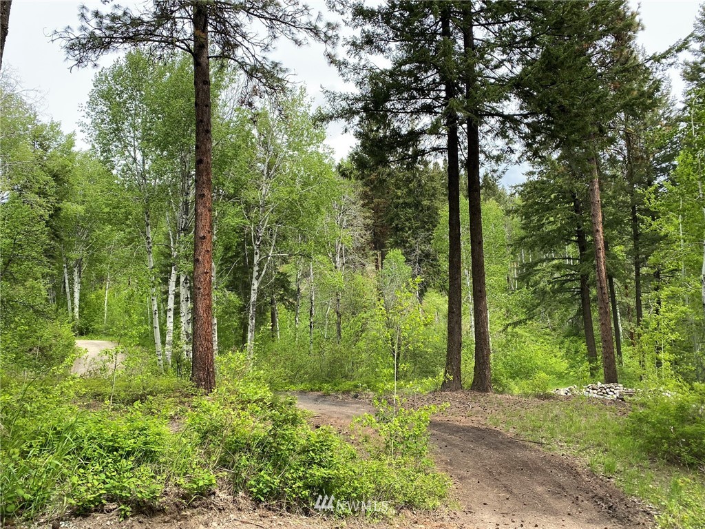 6 Fiddler's Road Winthrop, WA 98862 - Photo 15 of 15 Gallery Image 15