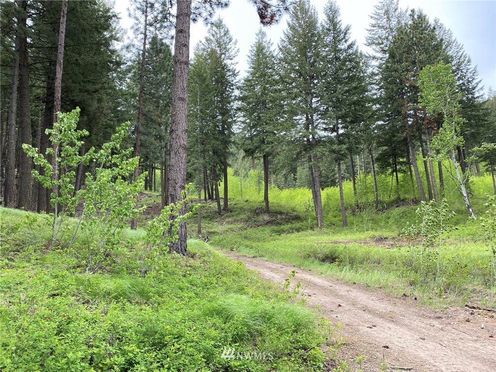 6 Fiddler's Road Winthrop, WA 98862 - Photo 8 of 15 Gallery Image 8