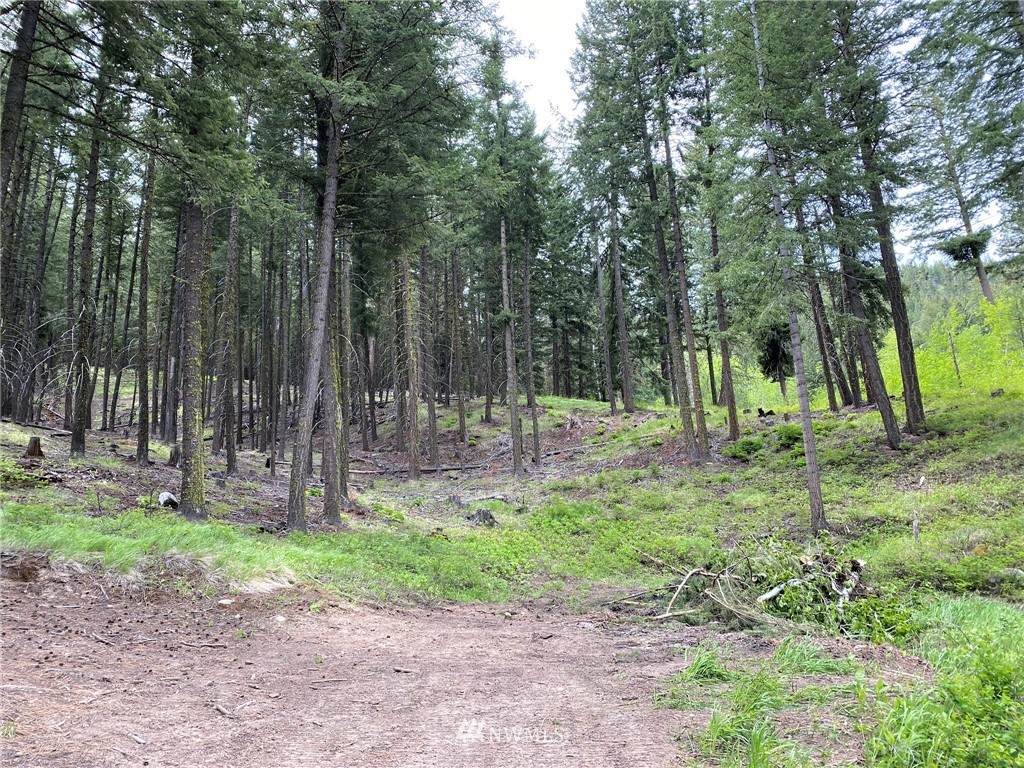 6 Fiddler's Road Winthrop, WA 98862 - Photo 9 of 15 Gallery Image 9
