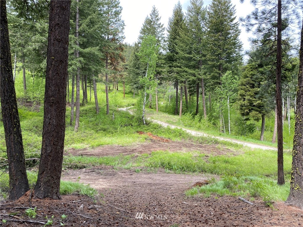 6 Fiddler's Road Winthrop, WA 98862 - Photo 10 of 15 Gallery Image 10