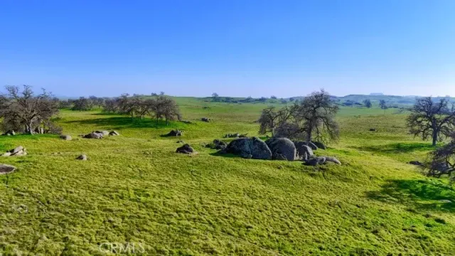 a view of a lush green outdoor space with a lake view and mountain view