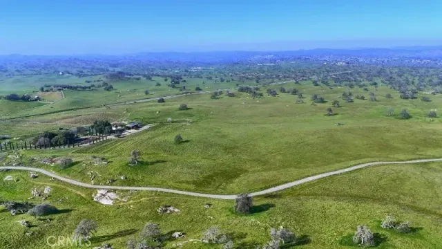 a view of a field with a lush green forest