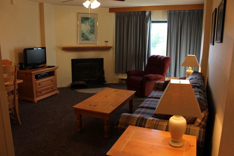 862 Silver Creek Road, Unit 2408 Snowshoe, WV 26209 - Photo 3 of 14 Gallery Image 3