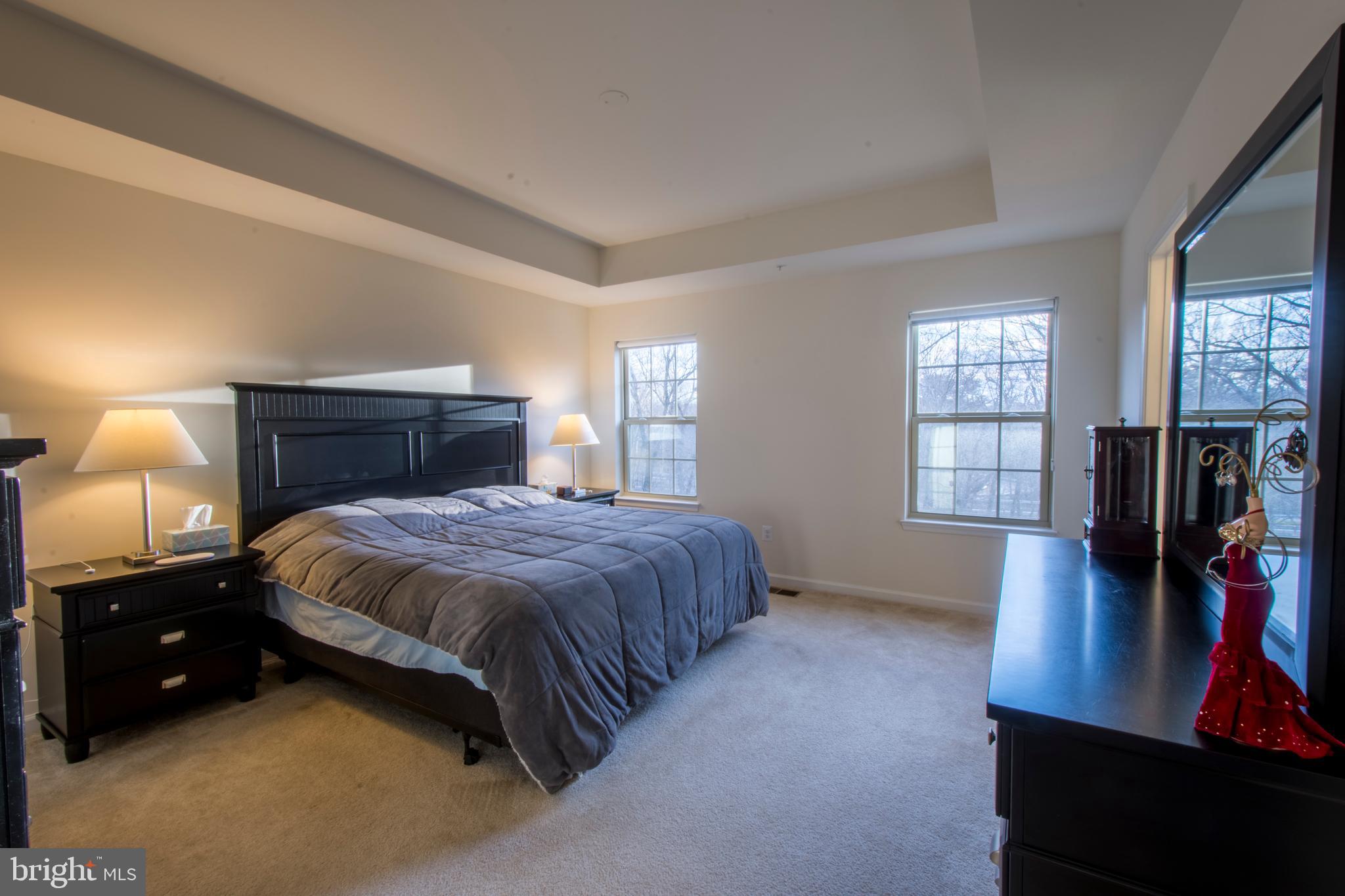 7809 Rappaport Drive Jessup, MD 20794 - Photo 23 of 84 Owners Bedroom With Trey Ceiling