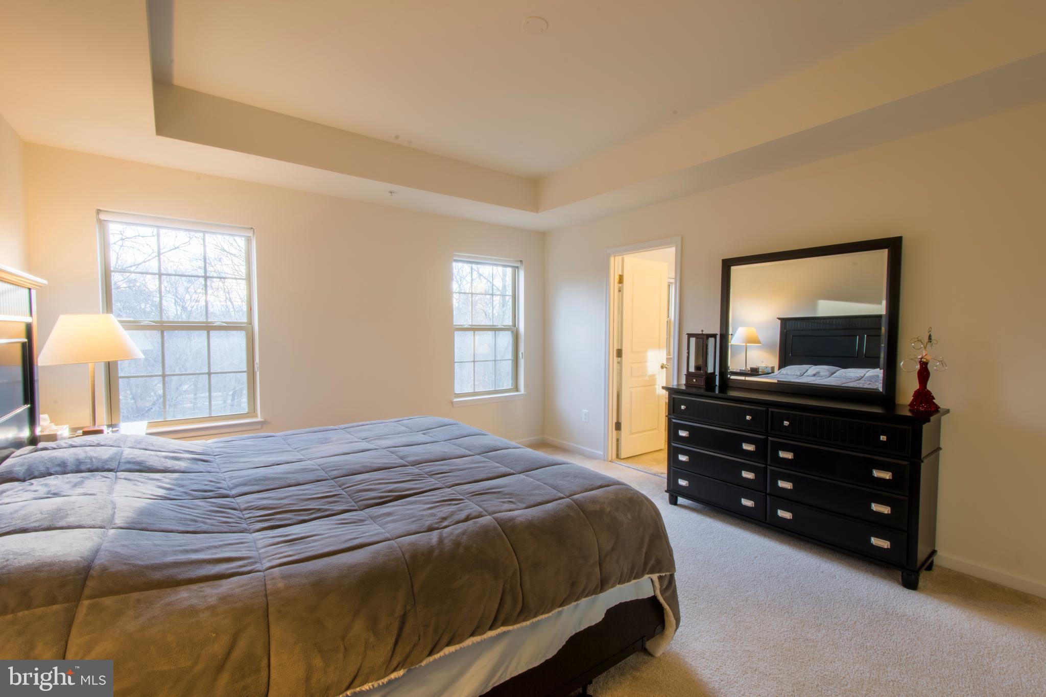 7809 Rappaport Drive Jessup, MD 20794 - Photo 26 of 84 Owners Bedroom With Windows Overlooking Rear Yard