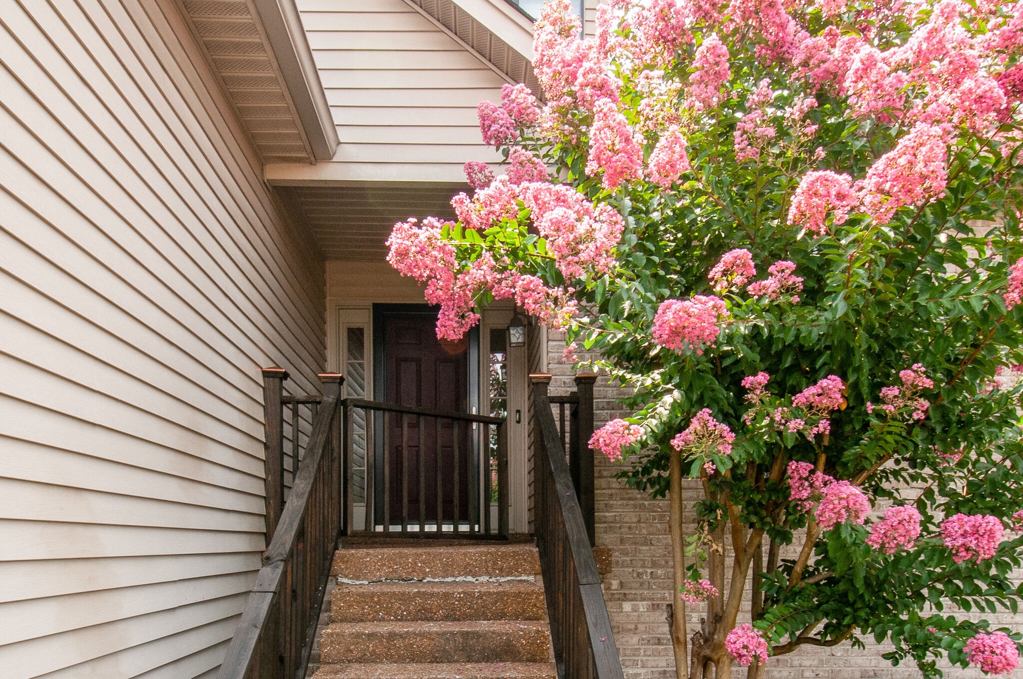 904 Fallview Trail Nashville, TN 37211 - Photo 4 of 38 a vase of flowers sitting on a wooden floor