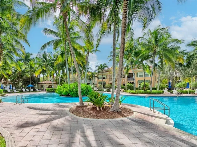a view of a garden with palm trees