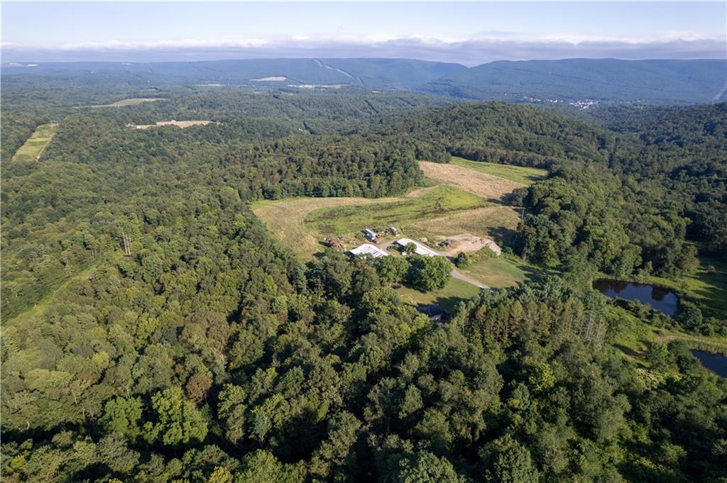 0 Hutchison Hollow Road Seward, PA 15954 - Photo 2 of 46 a view of a lush green hillside and a houses