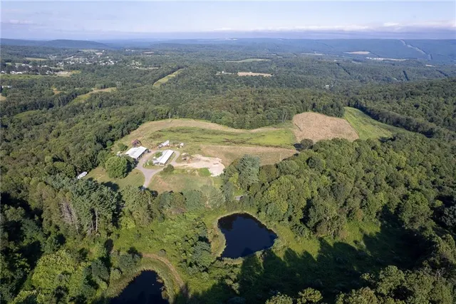 an aerial view of forest