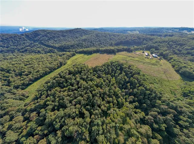 an aerial view of houses covered in trees