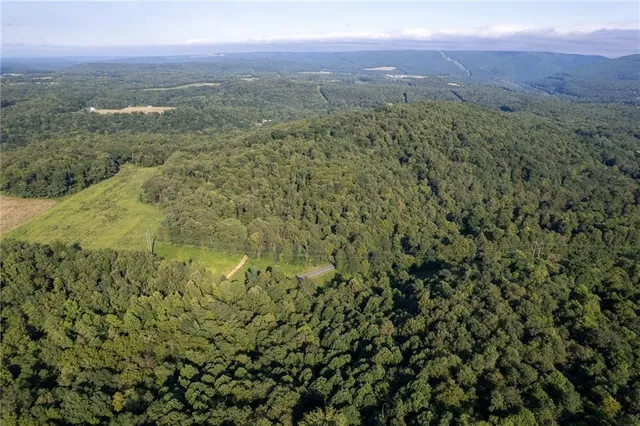 a view of a city with lush green forest