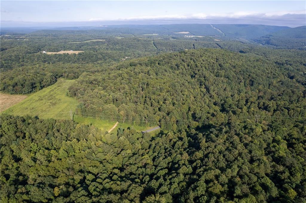 0 Hutchison Hollow Road Seward, PA 15954 - Photo 3 of 46 a view of a city with lush green forest