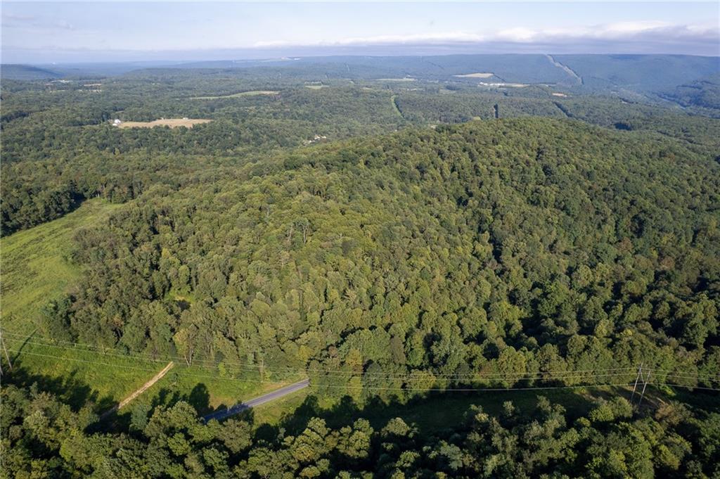 0 Hutchison Hollow Road Seward, PA 15954 - Photo 32 of 46 a view of a city with lush green forest