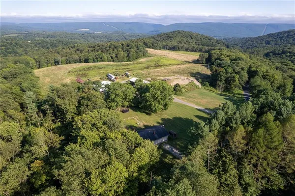 a view of a lush green field with mountains in the background
