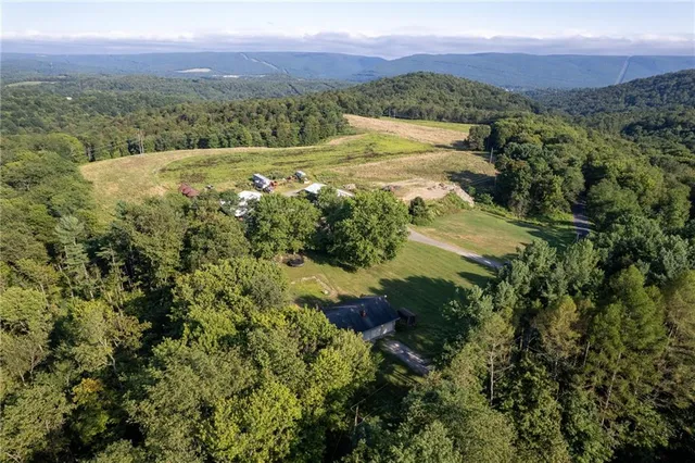 a view of a lush green field with mountains in the background