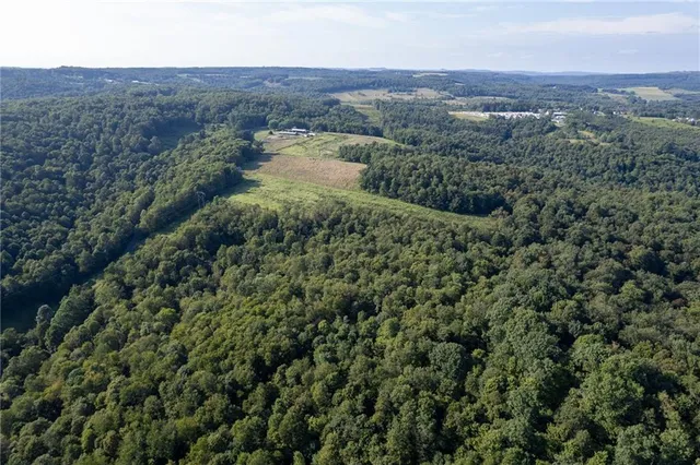 an aerial view of residential house and green space