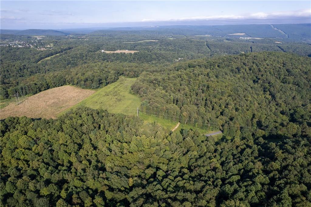 0 Hutchison Hollow Road Seward, PA 15954 - Photo 39 of 46 a view of a lush green field with mountains in the background