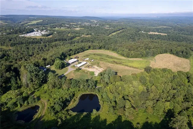 a view of a lush green hillside and a houses