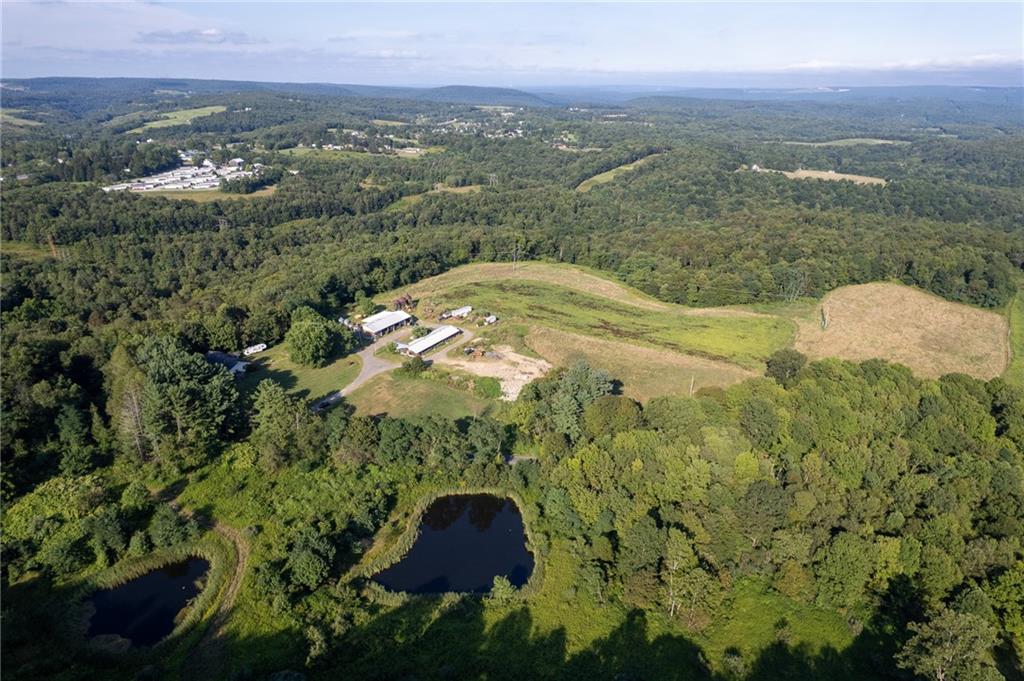 0 Hutchison Hollow Road Seward, PA 15954 - Photo 42 of 46