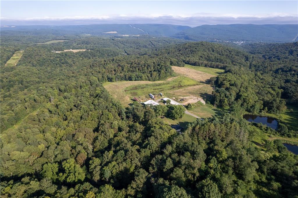 0 Hutchison Hollow Road Seward, PA 15954 - Photo 46 of 46 a view of a lush green hillside and a houses