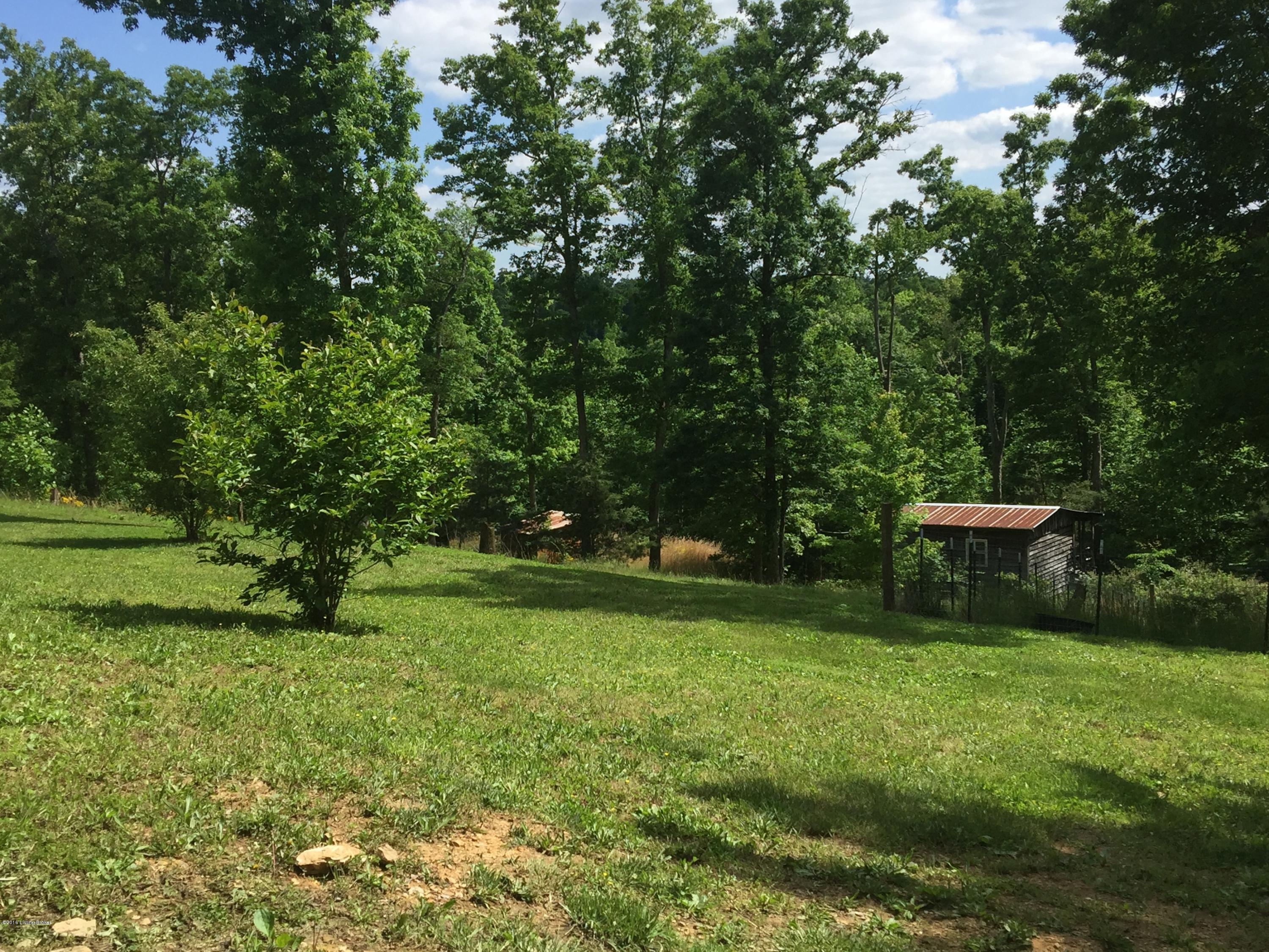 601 West Ready Road Caneyville, KY 42721 - Photo 7 of 14 IMG_1660