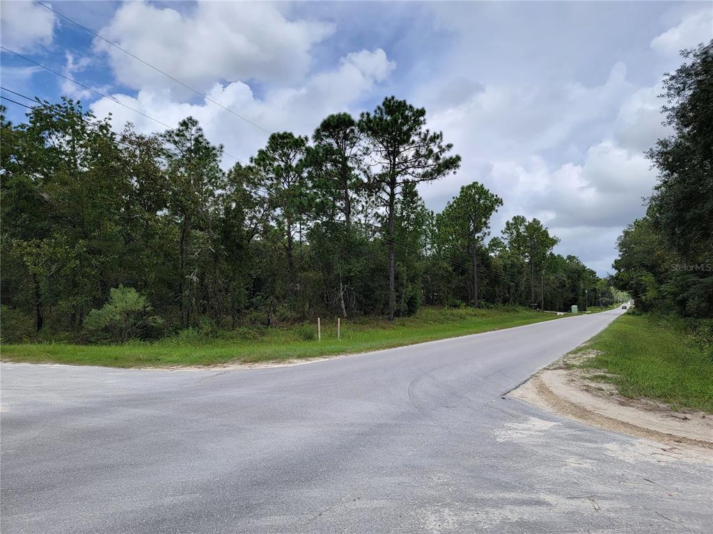 2 Southwest 129th Terrace Road Dunnellon, FL 34432 - Photo 6 of 8 Looking North