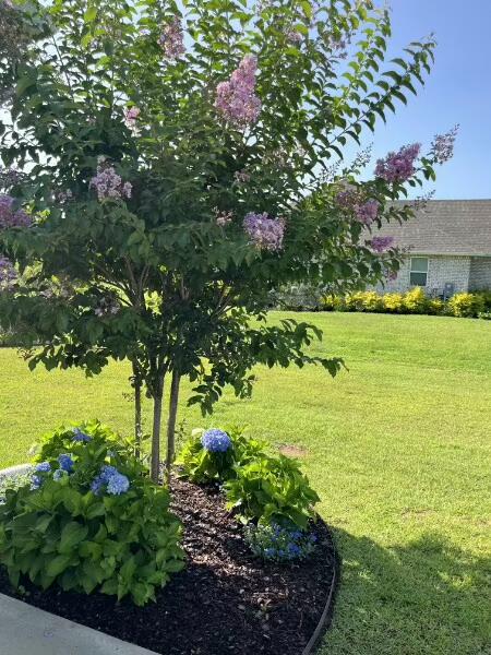 147 Fairway Crossing Freeport, FL 32439 - Photo 70 of 88 147 Fairway Xing