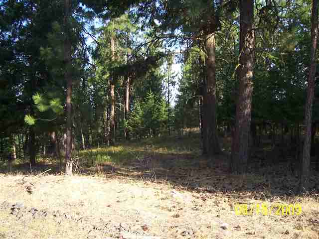 8732 North Bruce Road Spokane, WA 99217 - Photo 1 of 7