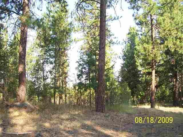 8732 North Bruce Road Spokane, WA 99217 - Photo 2 of 7