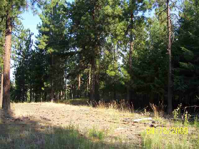 8732 North Bruce Road Spokane, WA 99217 - Photo 3 of 7