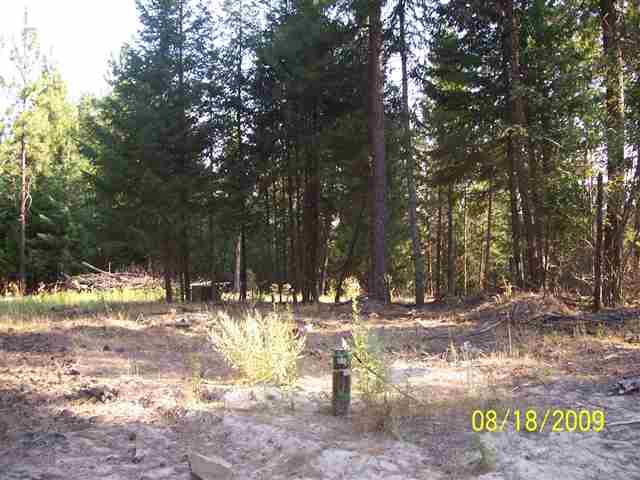 8732 North Bruce Road Spokane, WA 99217 - Photo 4 of 7