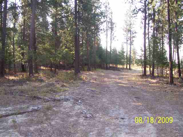 8732 North Bruce Road Spokane, WA 99217 - Photo 5 of 7