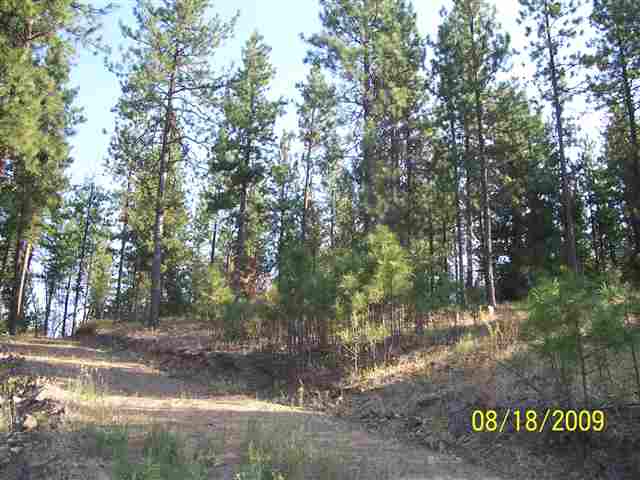 8732 North Bruce Road Spokane, WA 99217 - Photo 6 of 7