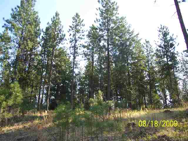 8732 North Bruce Road Spokane, WA 99217 - Photo 7 of 7