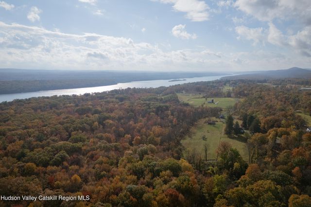 a view of a tree in a forest