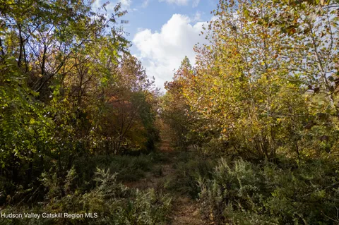 a view of a bunch of trees and mountains