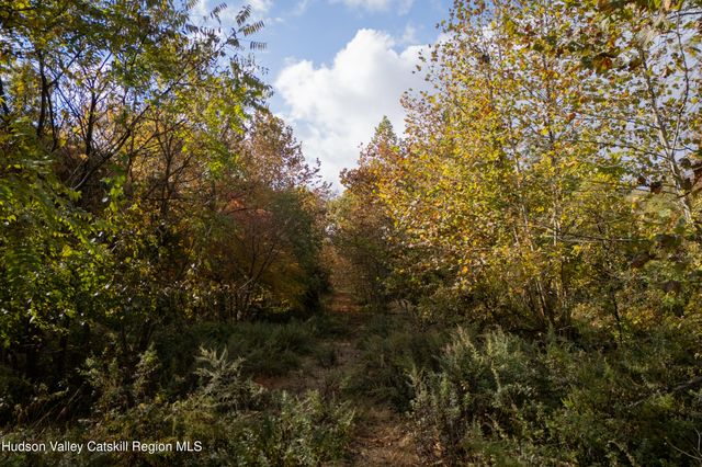 a view of a bunch of trees and mountains