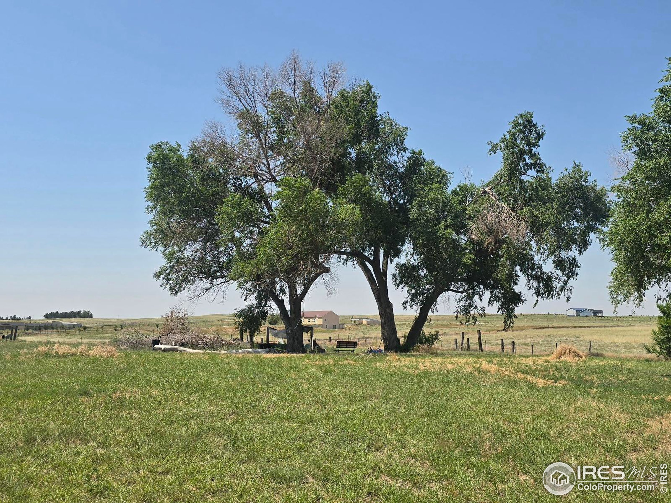 a view of yard with tree and outdoor seating