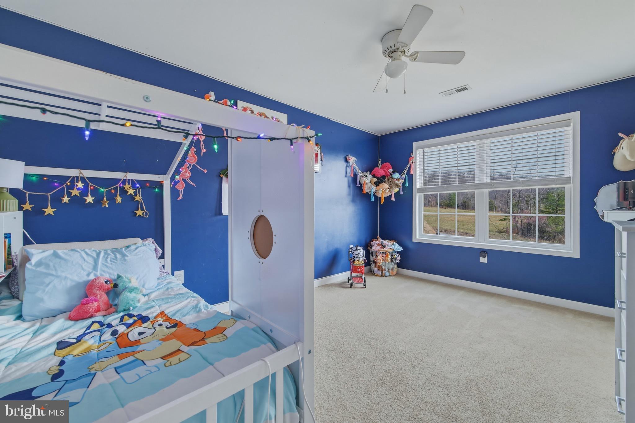 257 Hunter Road Maurertown, VA 22644 - Photo 37 of 61